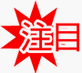 20100202_1186445.gif